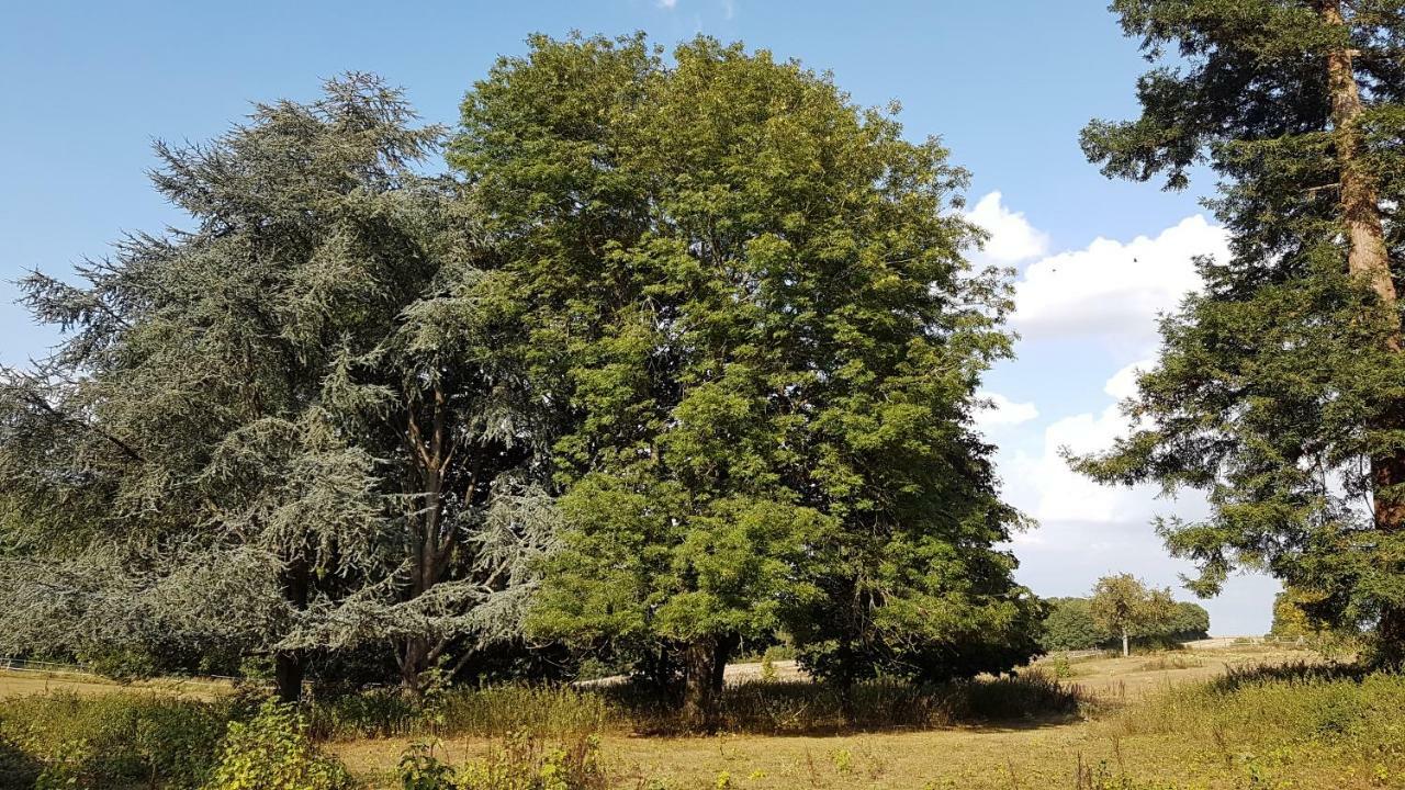 Au Clos Du Coteau, D'hotes Crotelles
